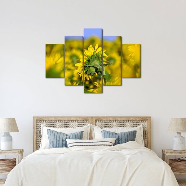 Slika suncokreta (150x105 cm)