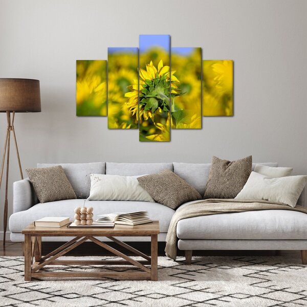 Slika suncokreta (150x105 cm)