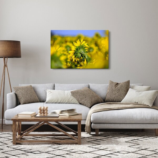 Slika suncokreta (90x60 cm)