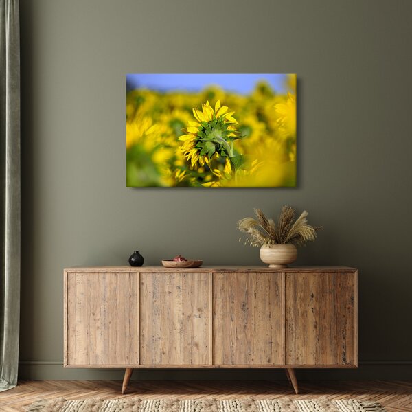 Slika suncokreta (90x60 cm)