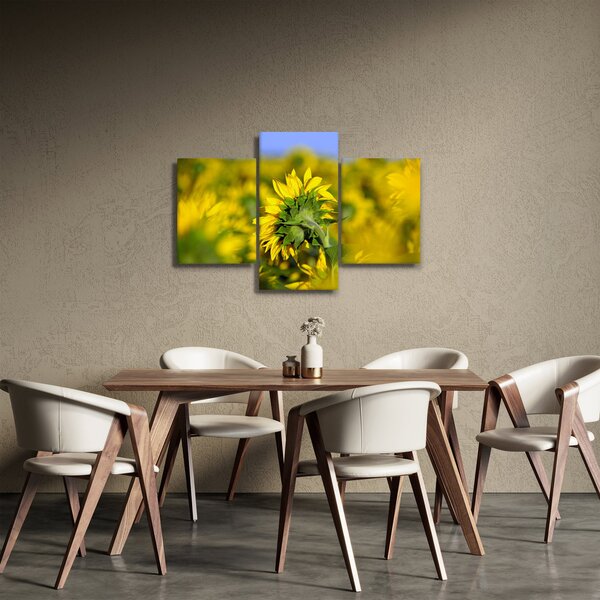 Slika suncokreta (90x60 cm)