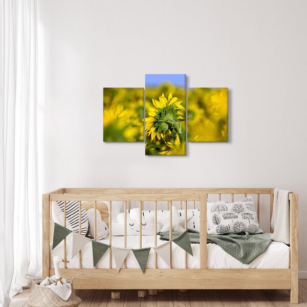 Slika suncokreta (90x60 cm)