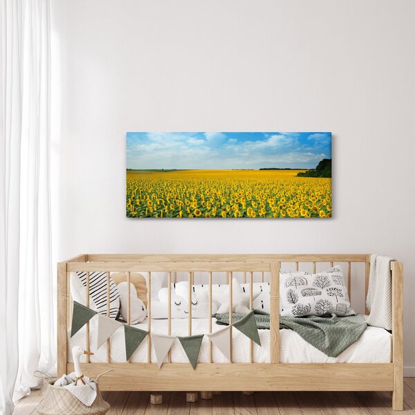 Slika - polje suncokreta (120x50 cm)
