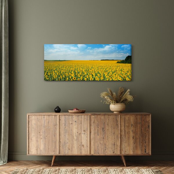 Slika - polje suncokreta (120x50 cm)
