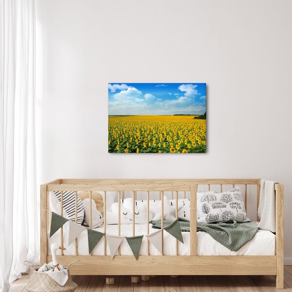 Slika - polje suncokreta (70x50 cm)