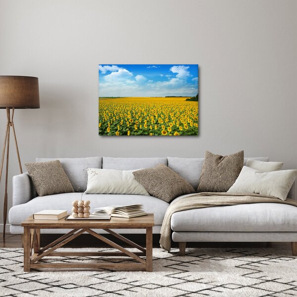 Slika - polje suncokreta (70x50 cm)
