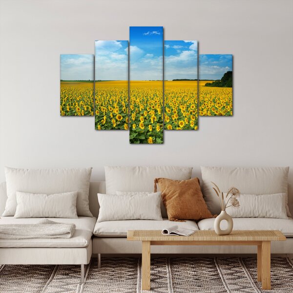 Slika - polje suncokreta (150x105 cm)