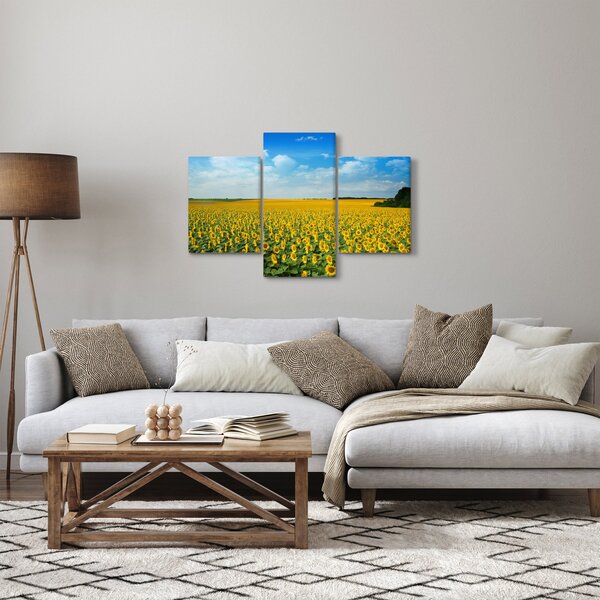 Slika - polje suncokreta (90x60 cm)
