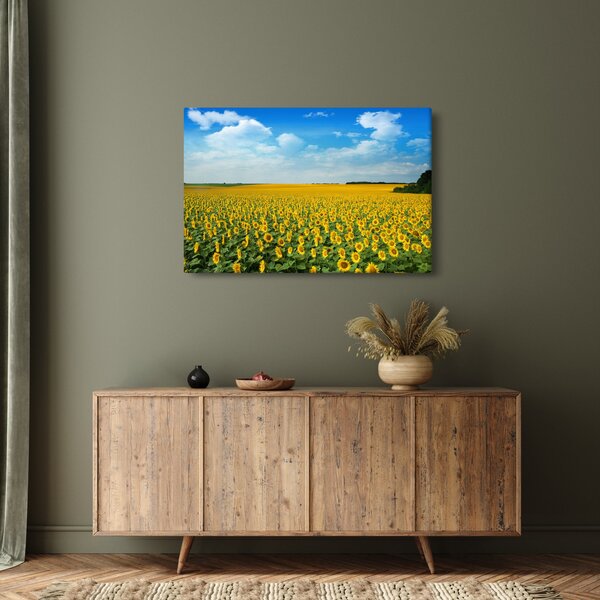 Slika - polje suncokreta (90x60 cm)