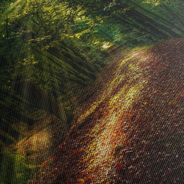 Slika šumskog puta (150x105 cm)