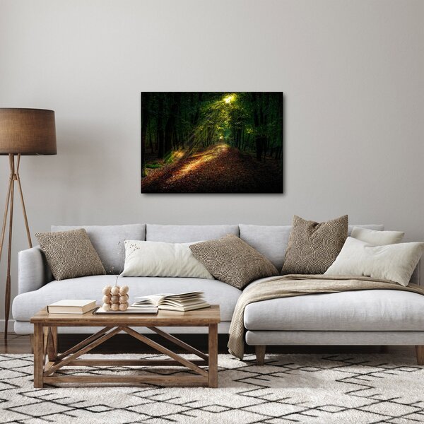 Slika šumskog puta (70x50 cm)