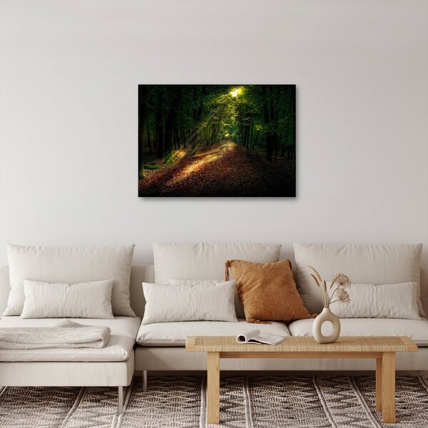 Slika šumskog puta (70x50 cm)