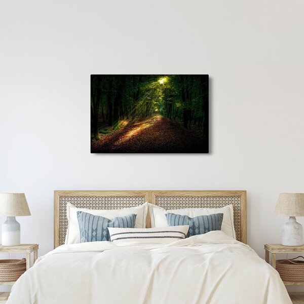 Slika šumskog puta (90x60 cm)