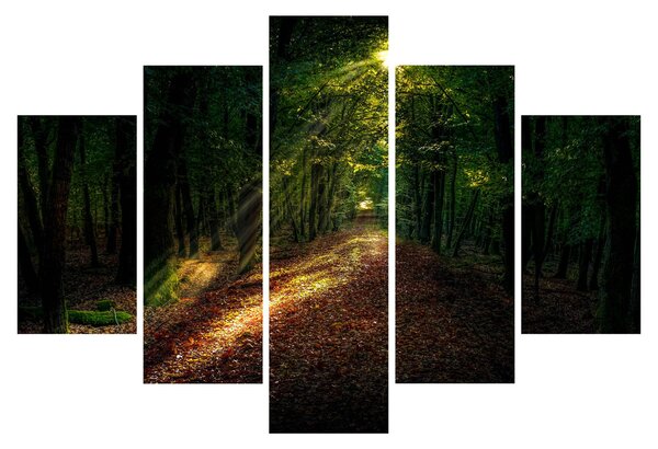 Slika šumskog puta (150x105 cm)