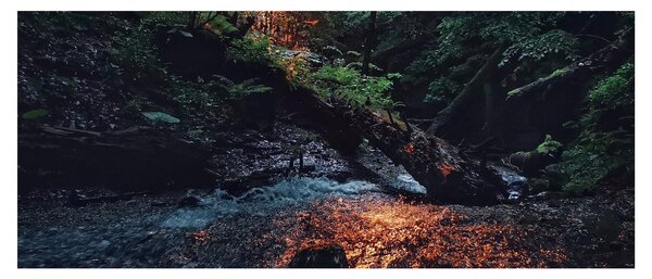Slika planinskog potoka (120x50 cm)