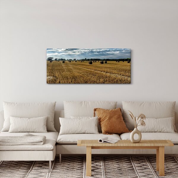 Slika ubranog polja žitarica (120x50 cm)