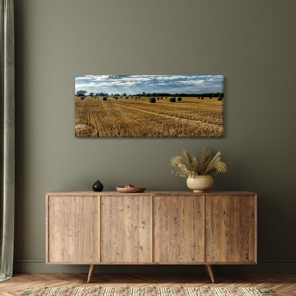Slika ubranog polja žitarica (120x50 cm)