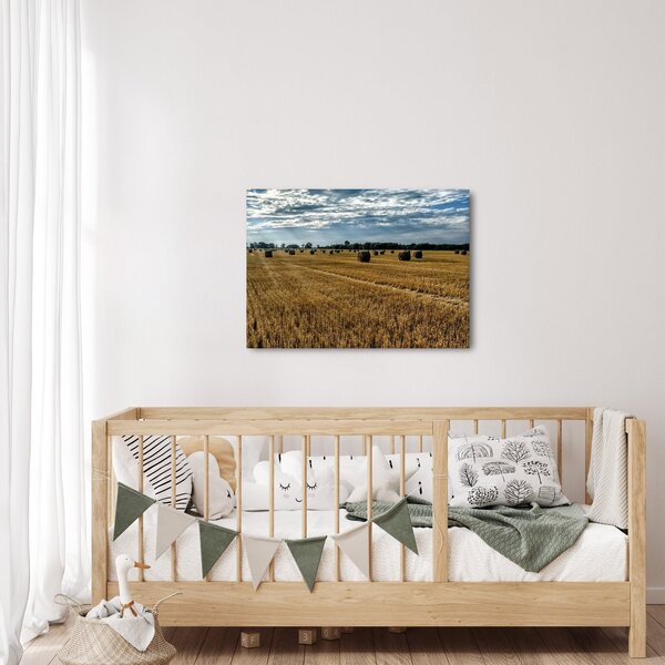 Slika ubranog polja žitarica (70x50 cm)