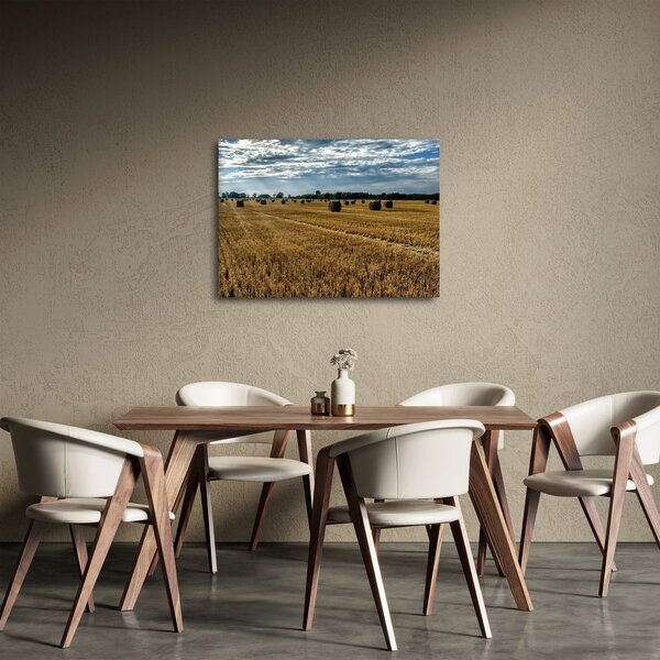 Slika ubranog polja žitarica (70x50 cm)