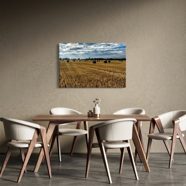 Slika ubranog polja žitarica (90x60 cm)