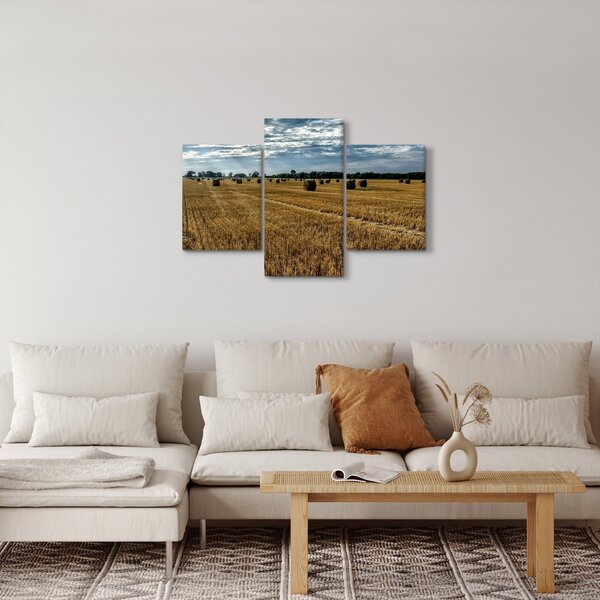 Slika ubranog polja žitarica (90x60 cm)