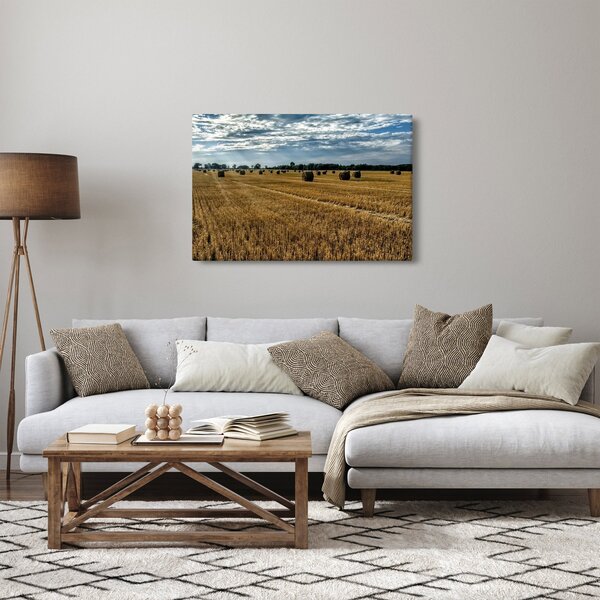 Slika ubranog polja žitarica (90x60 cm)