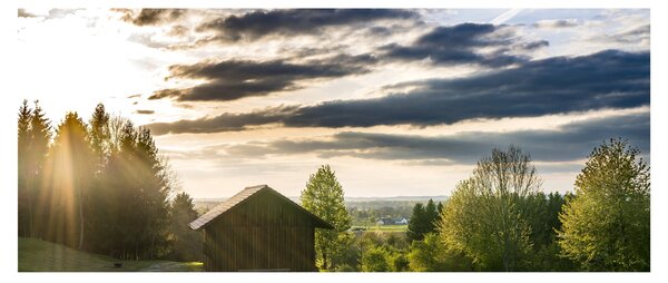 Slika šumske kolibe (120x50 cm)