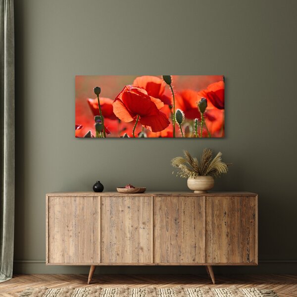 Slika maka (120x50 cm)