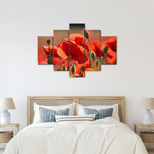 Slika maka (150x105 cm)