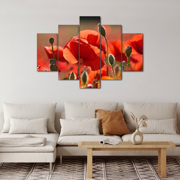 Slika maka (150x105 cm)
