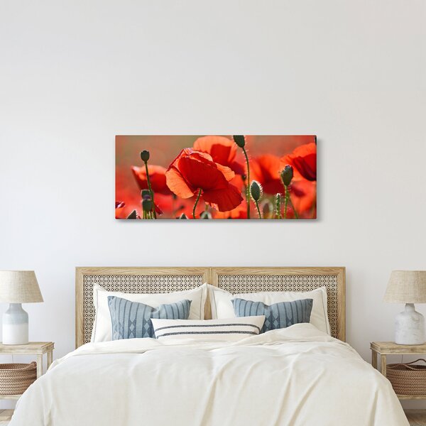 Slika maka (120x50 cm)