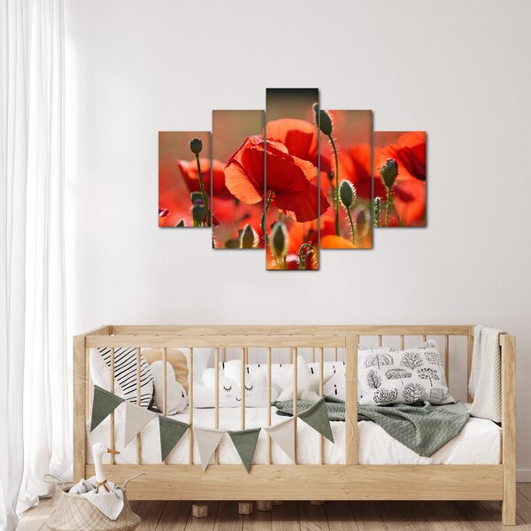 Slika maka (150x105 cm)