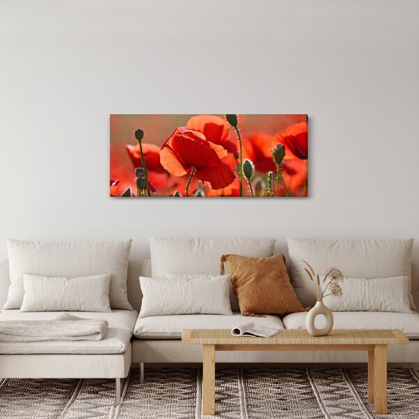 Slika maka (120x50 cm)