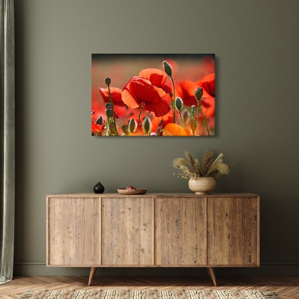 Slika maka (90x60 cm)