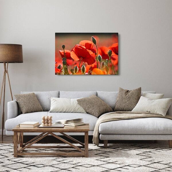 Slika maka (90x60 cm)