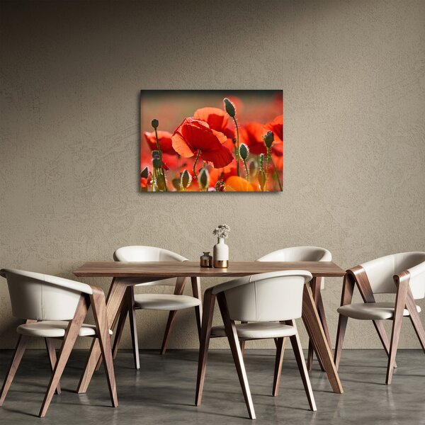 Slika maka (70x50 cm)