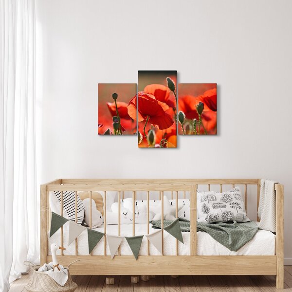 Slika maka (90x60 cm)