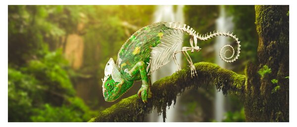 Slika kameleona (120x50 cm)