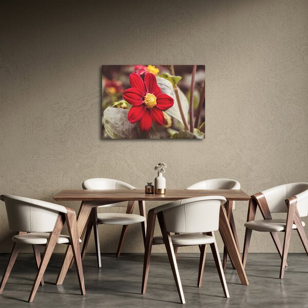 Slika cvijeta (70x50 cm)