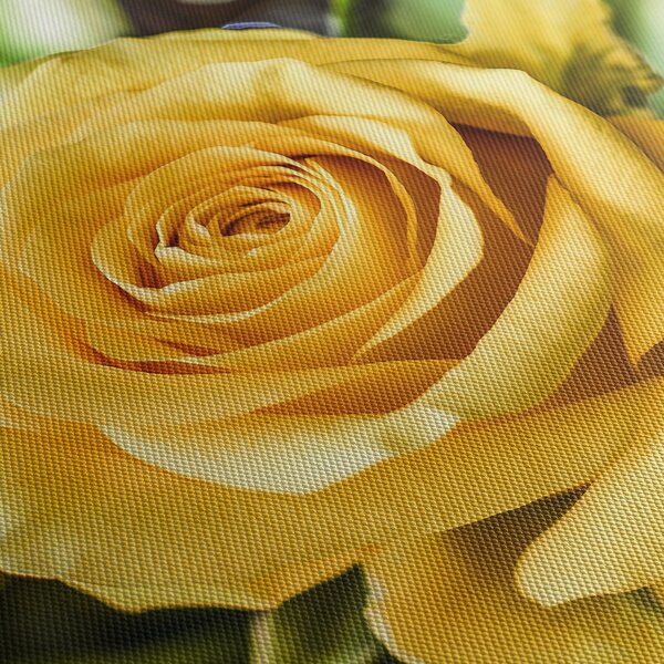 Slika ruže (120x50 cm)