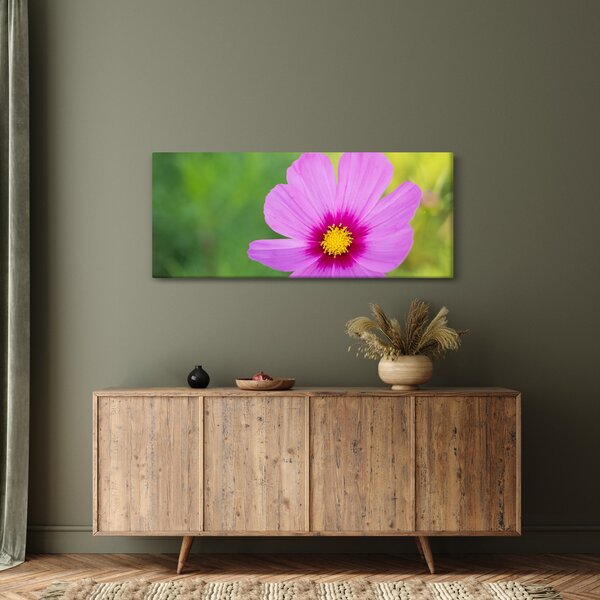 Slika - livadski cvijet (120x50 cm)