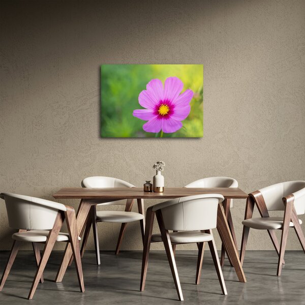 Slika - livadski cvijet (70x50 cm)