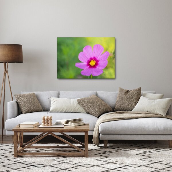 Slika - livadski cvijet (70x50 cm)