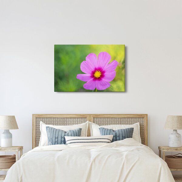 Slika - livadski cvijet (90x60 cm)