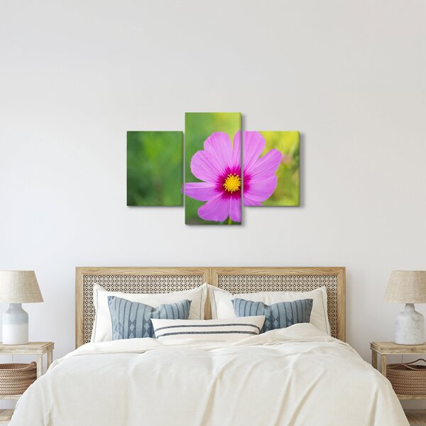 Slika - livadski cvijet (90x60 cm)