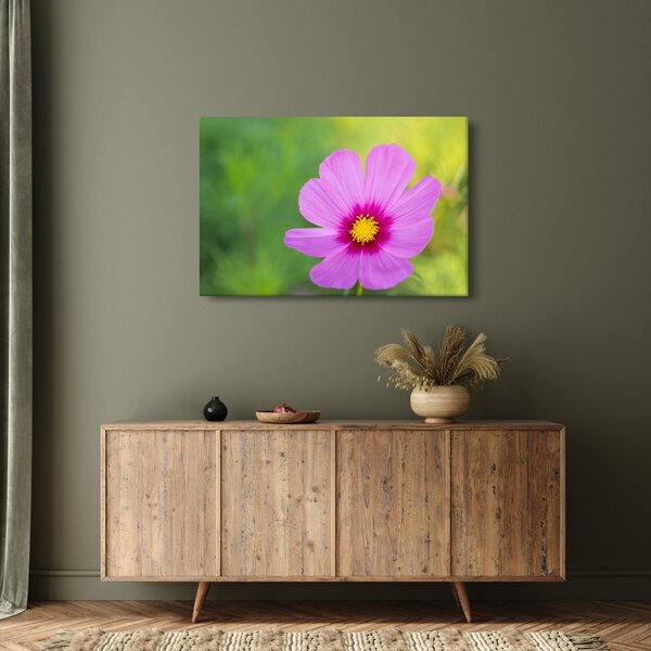 Slika - livadski cvijet (90x60 cm)
