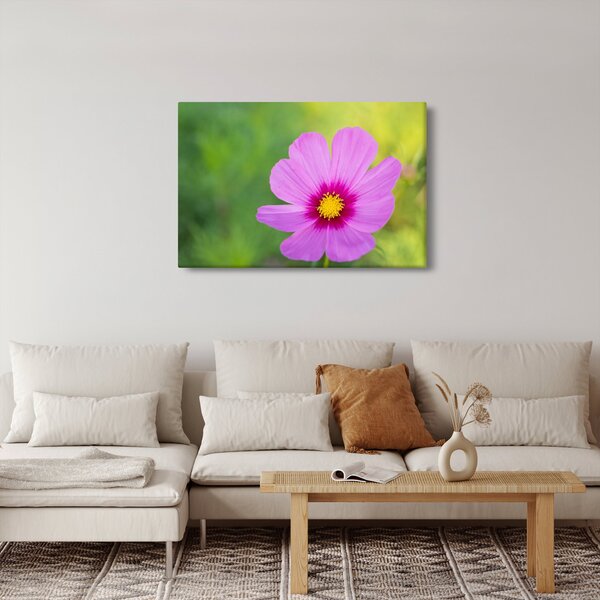 Slika - livadski cvijet (90x60 cm)