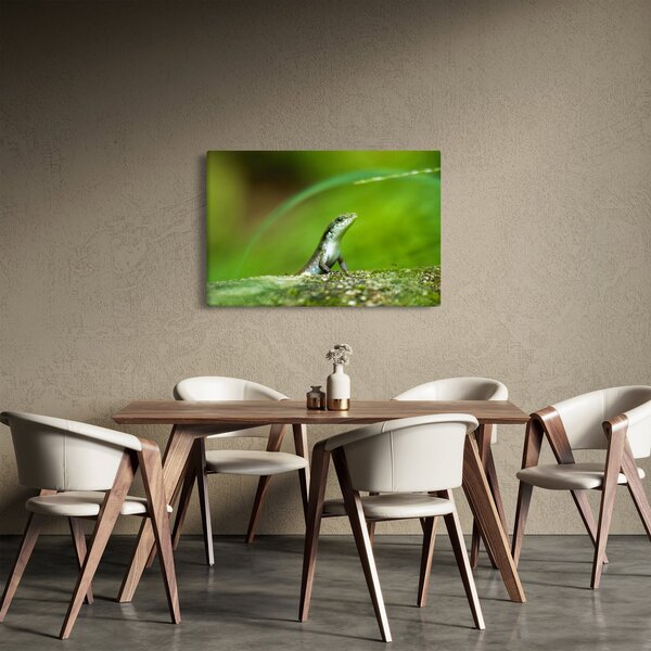 Slika gušterice (90x60 cm)
