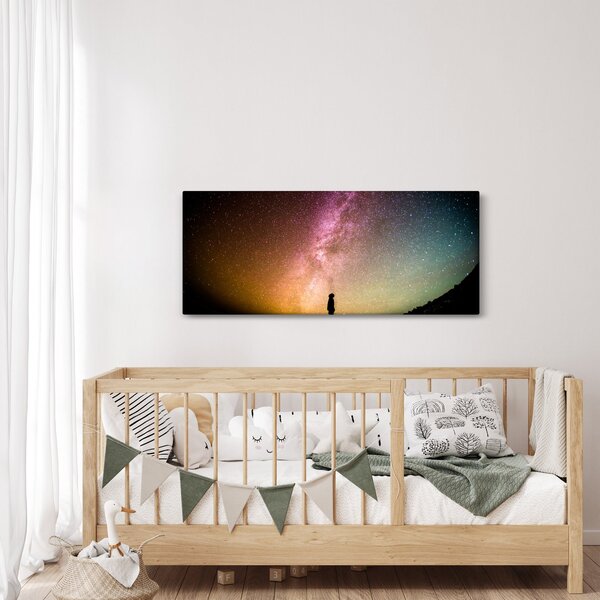 Slika - nebo puno zvijezda (120x50 cm)