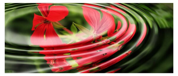 Apstraktna slika - cvijeće u valovima (120x50 cm)